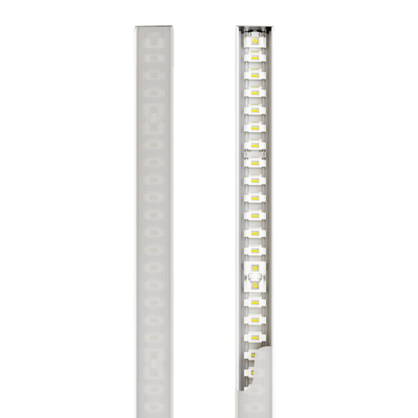 GH - Image 5